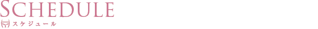 スケジュール
